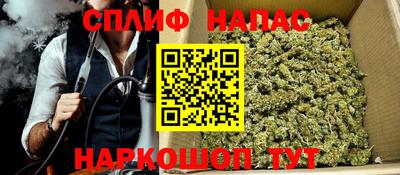 ECSTASY Гатчина