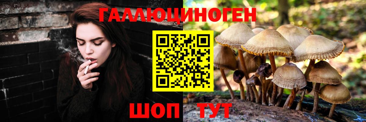 Галлюциногенные грибы прущие грибы Жигулёвск